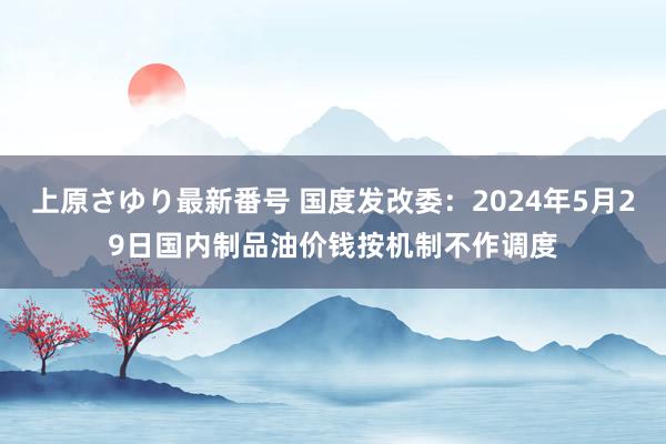 上原さゆり最新番号 国度发改委：2024年5月29日国内制品油价钱按机制不作调度