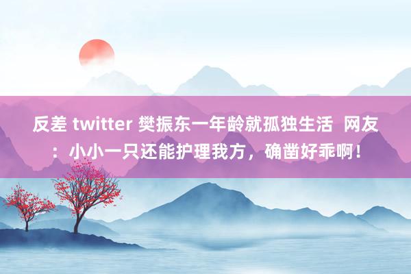 反差 twitter 樊振东一年龄就孤独生活  网友：小小一只还能护理我方，确凿好乖啊！