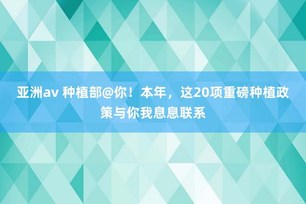 亚洲av 种植部@你！本年，这20项重磅种植政策与你我息息联系